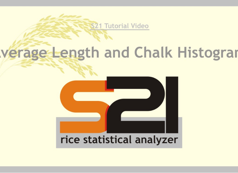S21 Solutions - Average Length and Chalky Histogram