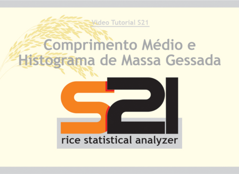 S21 Solutions - Comprimento Médio e Histograma de Massa Gessada