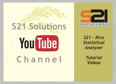 S21 Solutions - Canal do YouTube